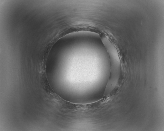 X0000073860965200608312022