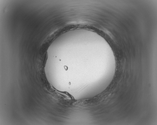 X0000073860967200608312022