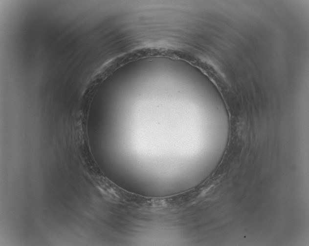 X0000073860968200608312022