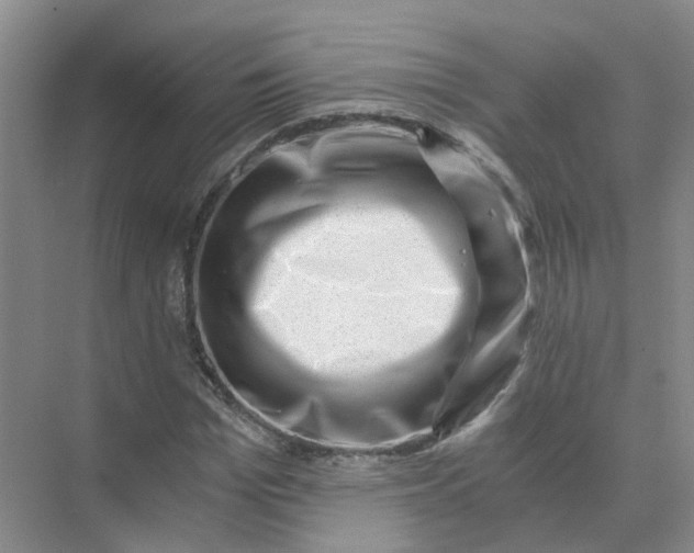 X0000073860969200608312022