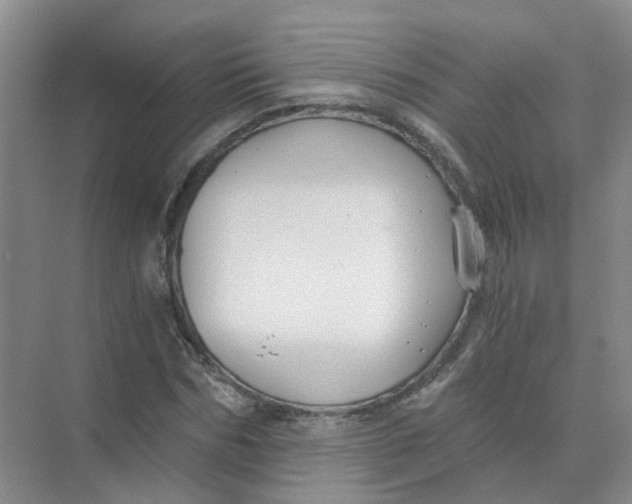 X0000073860970200608312022