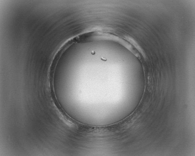 X0000073860972200608312022