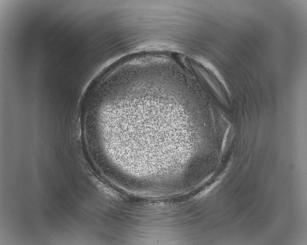 X0000073860973200608312022