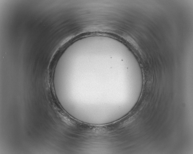 X0000073860974200608312022