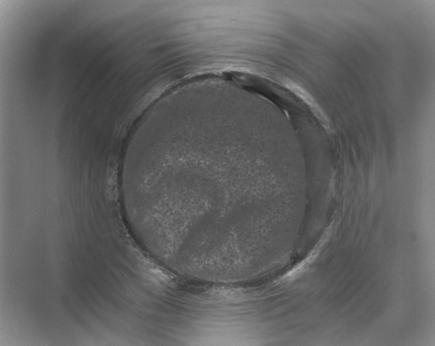 X0000073860977200608312022