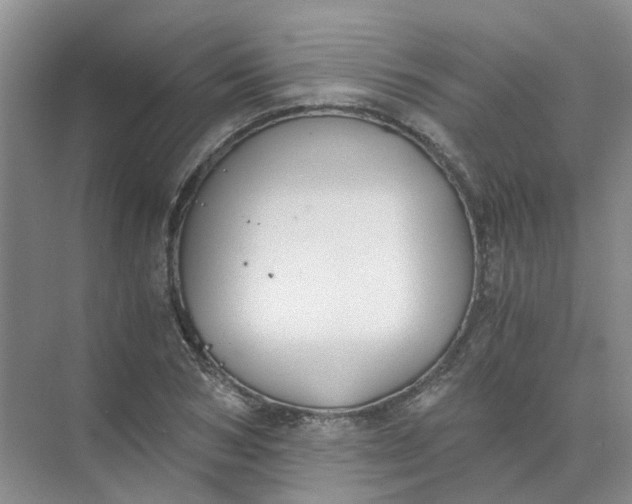 X0000073860978200608312022