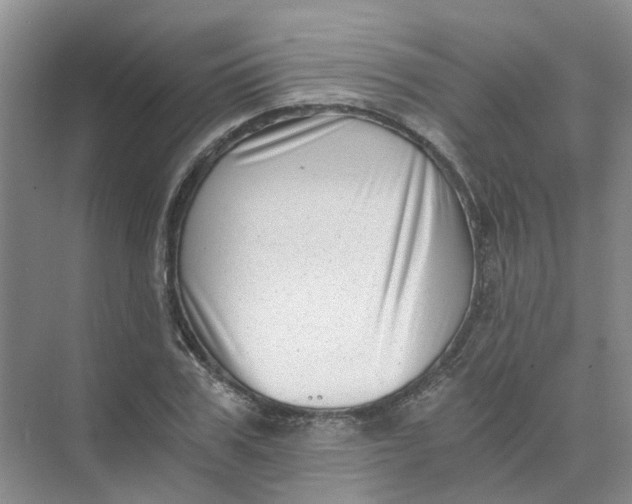 X0000073860979200608312022