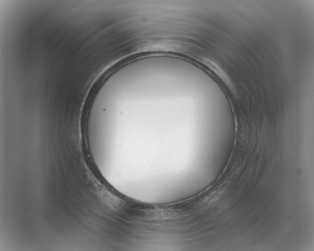 X0000073860980200608312022