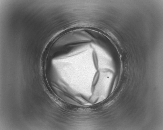 X0000073860981200608312022