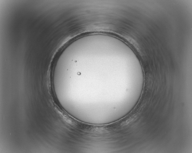 X0000073860982200608312022