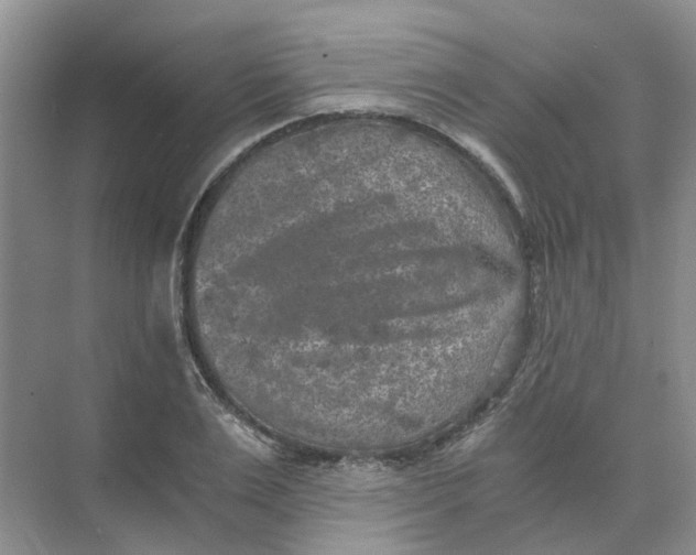 X0000073860983200608312022