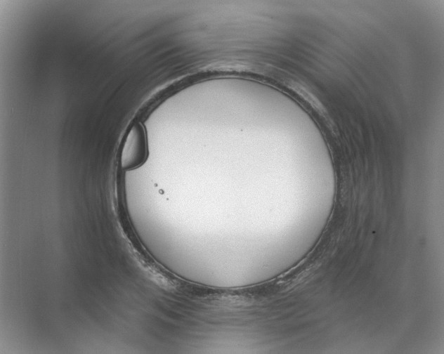 X0000073860984200608312022