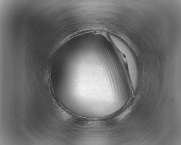 X0000073860985200608312022