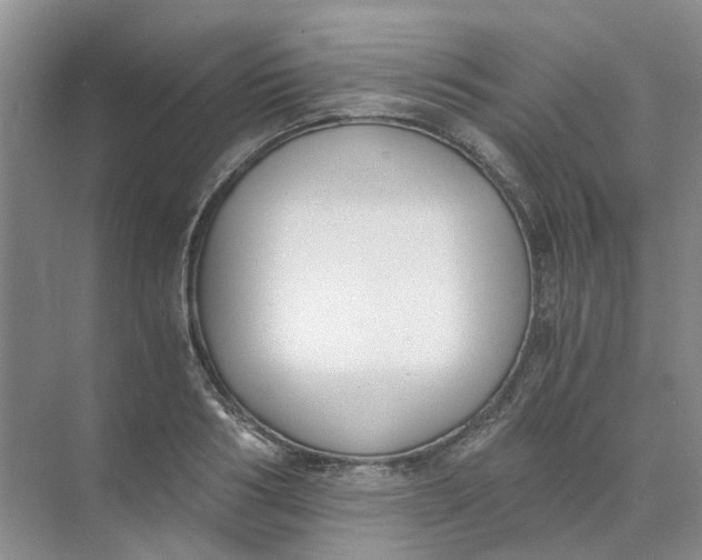 X0000073860986200608312022