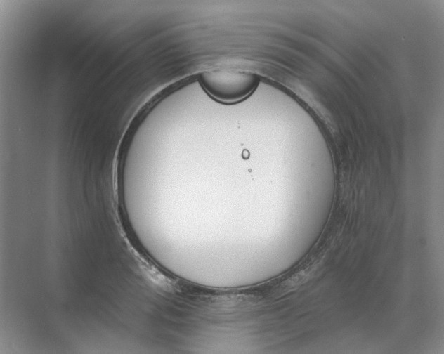 X0000073860988200608312022