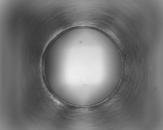 X0000073860990200608312022