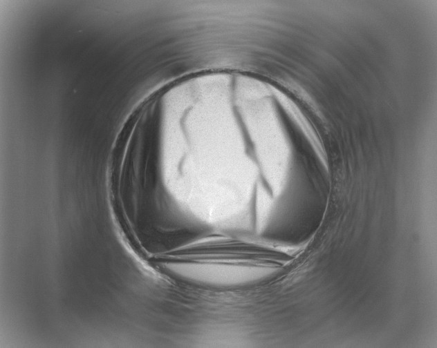 X0000073860991200608312022