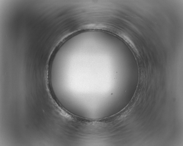 X0000073860992200608312022