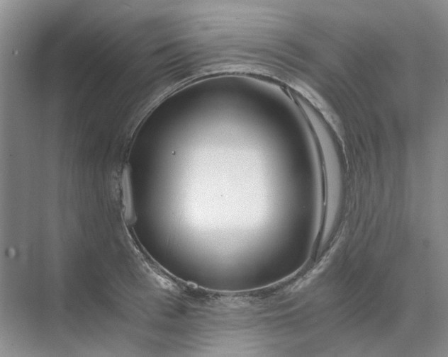 X0000073860993200608312022