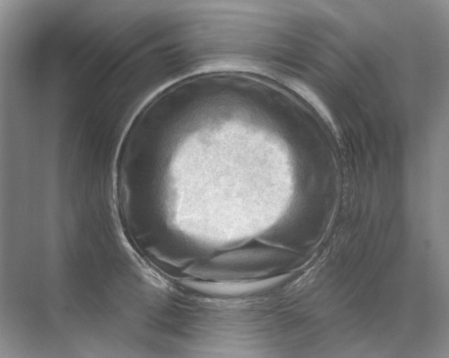 X0000073860996200608312022