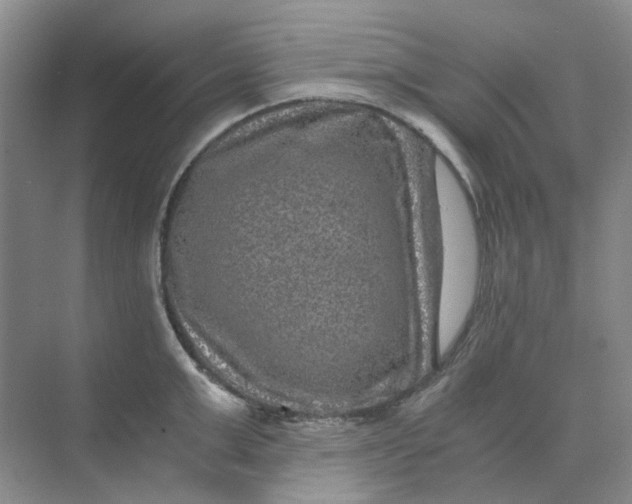 X0000073860999200608312022