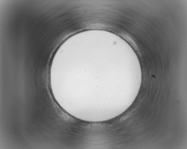 X0000073861000200608312022