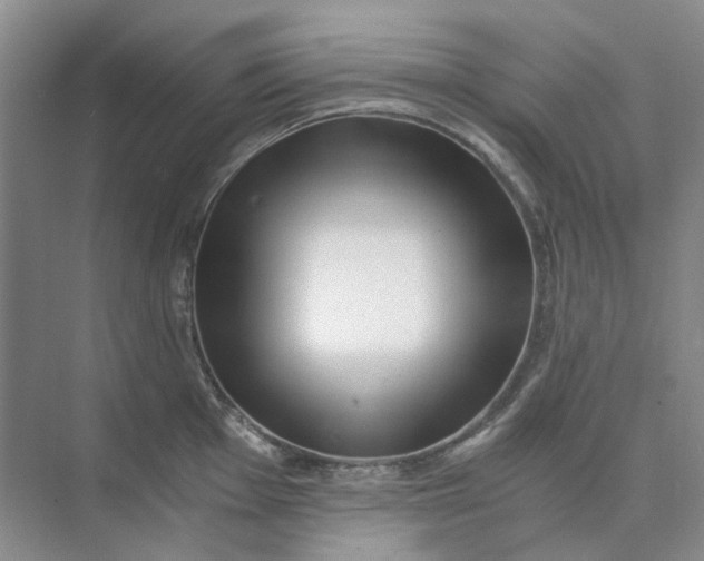 X0000073861001200608312022