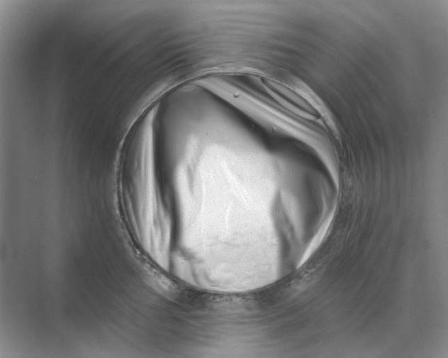 X0000073861002200608312022