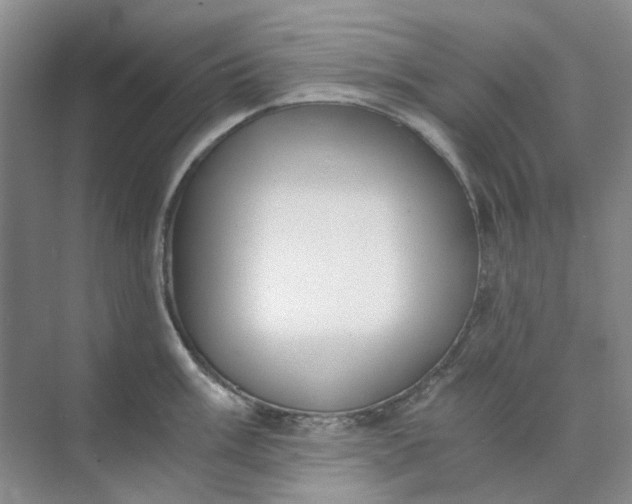 X0000073861003200608312022