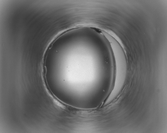 X0000073861005200608312022