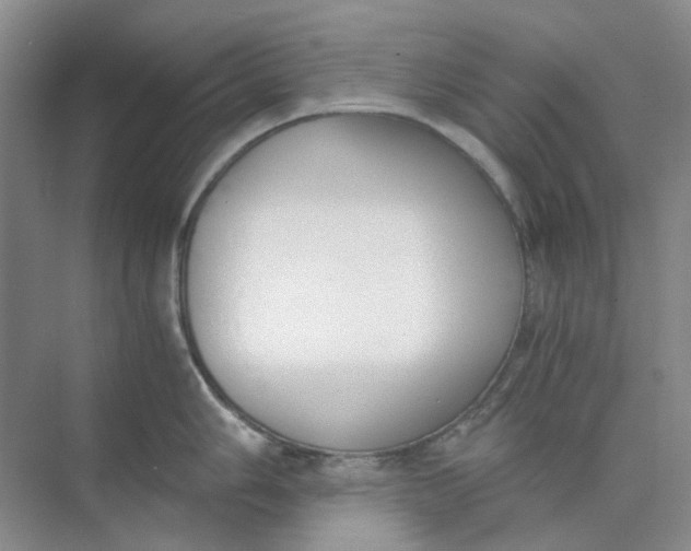 X0000073861006200608312022