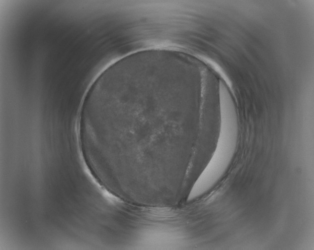 X0000073861007200608312022