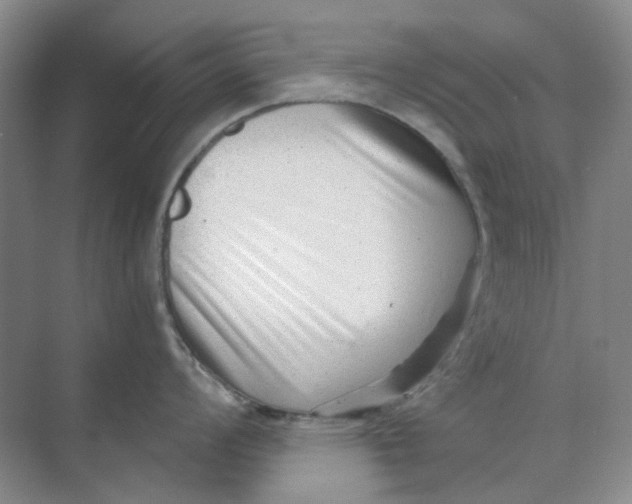 X0000073861008200608312022