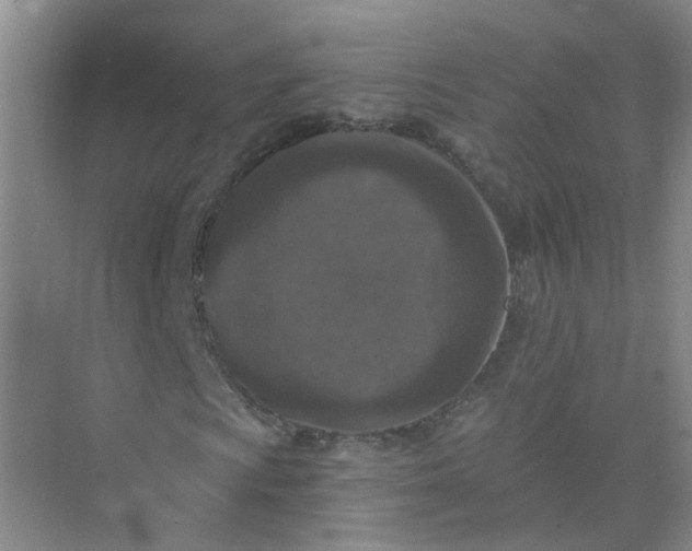 X0000073861009200608312021