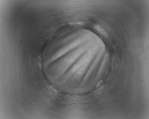 X0000073861010200608312021