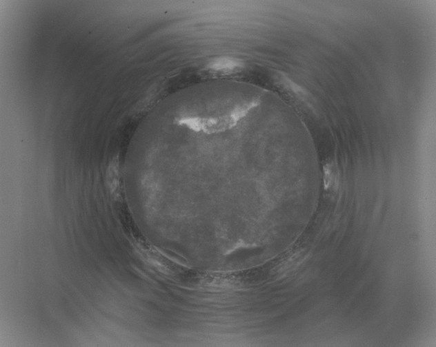 X0000073861011200608312021