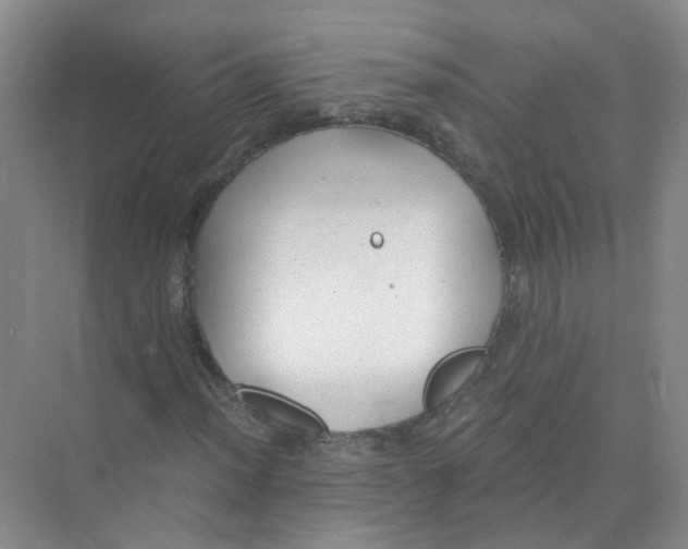 X0000073861012200608312021