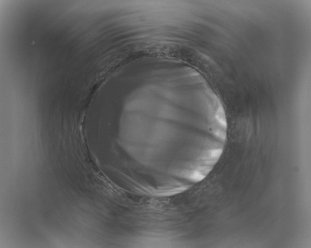 X0000073861013200608312021