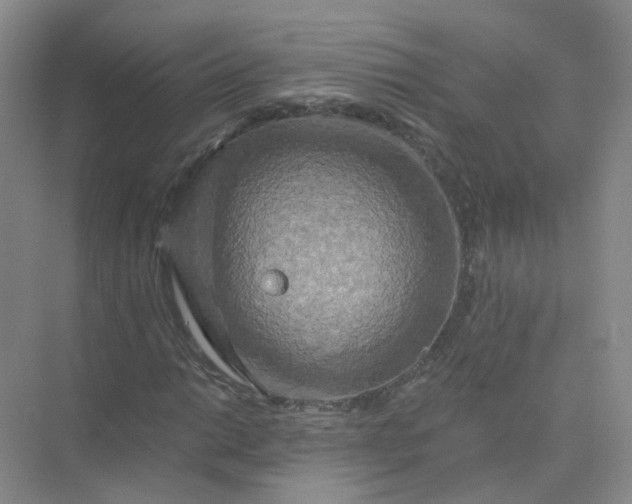 X0000073861014200608312021