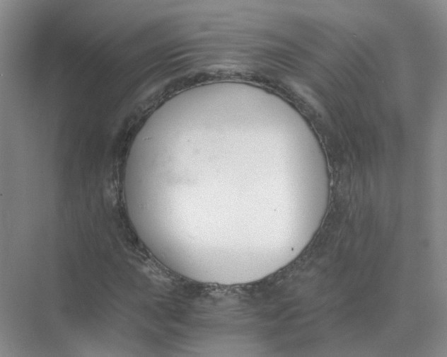 X0000073861015200608312021