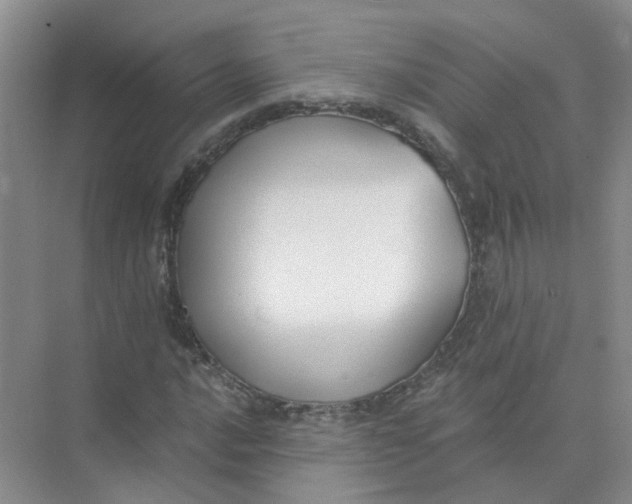 X0000073861016200608312021