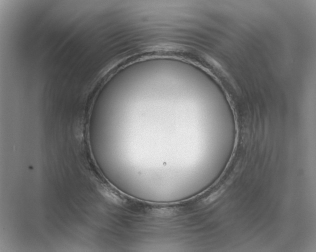 X0000073861017200608312021