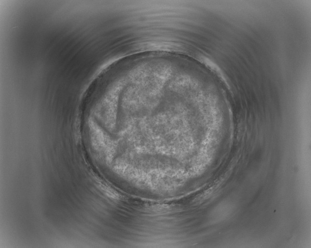 X0000073861019200608312021