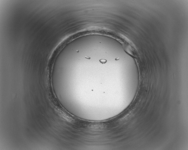 X0000073861021200608312021