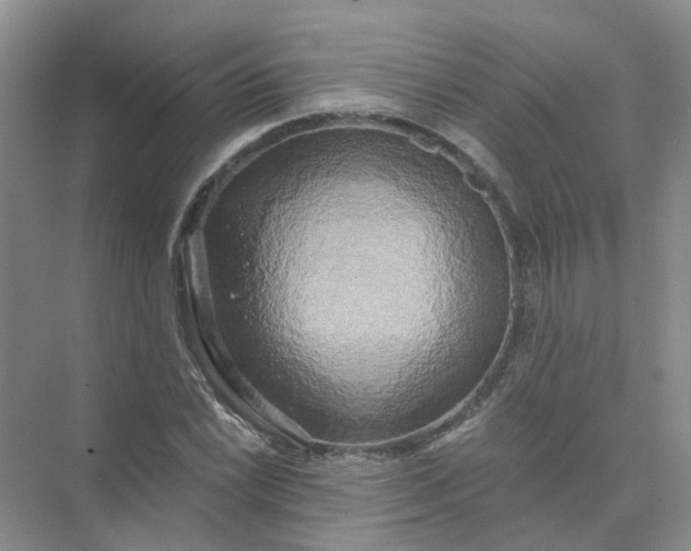 X0000073861022200608312021