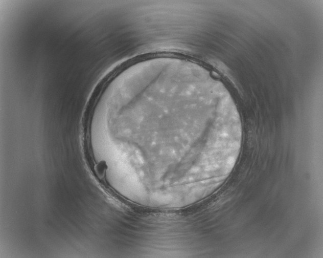 X0000073861024200608312021