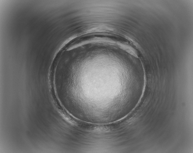 X0000073861026200608312021