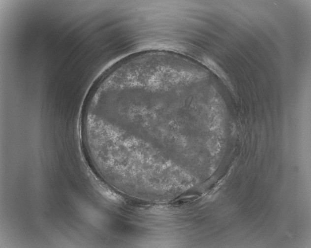 X0000073861028200608312021