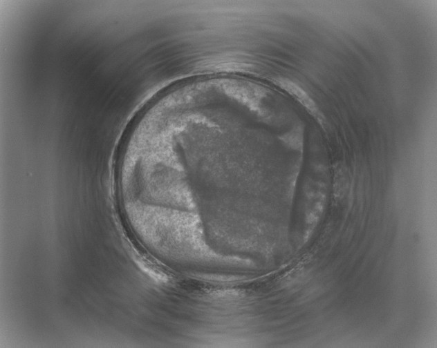 X0000073861031200608312021