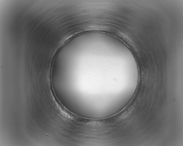 X0000073861033200608312021